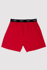 Moose Caboose Men's Novelty Boxers by Millie + Moose