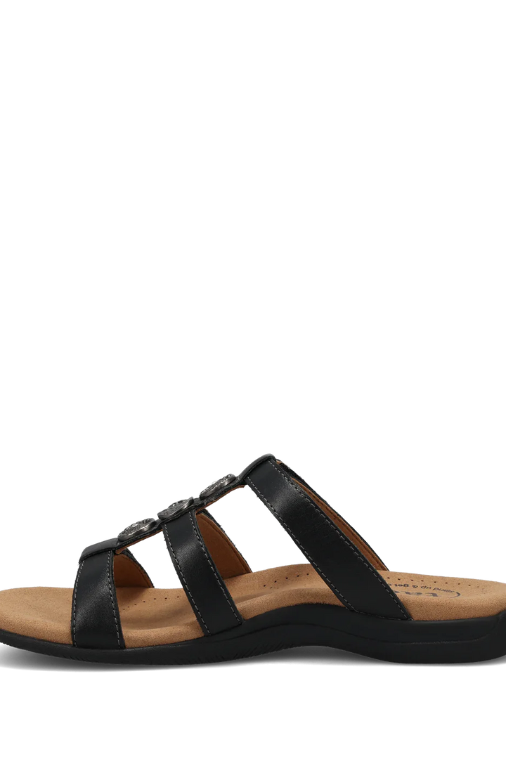 Women's Prize 4 Leather Slide Sandal in Black by Taos