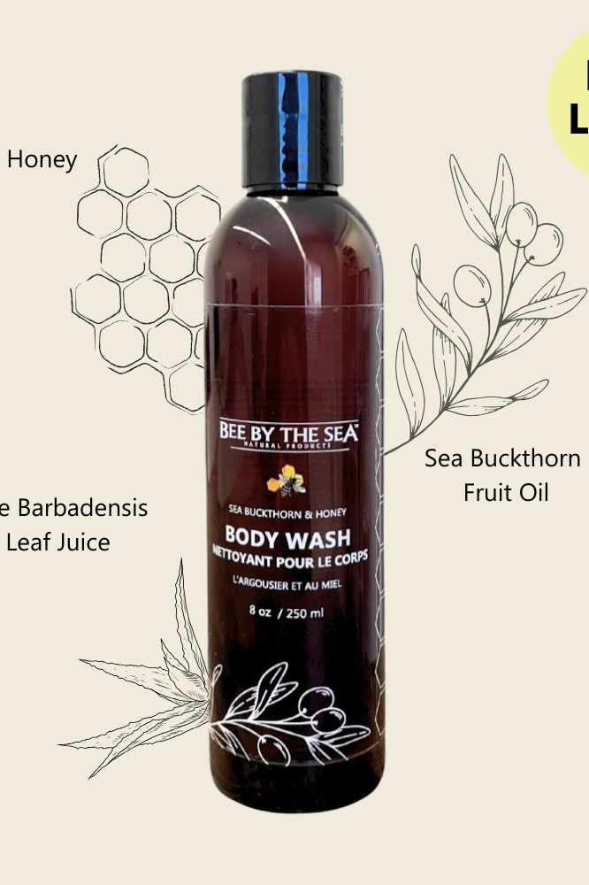 Bee By The Sea The Indulgence Gift Set